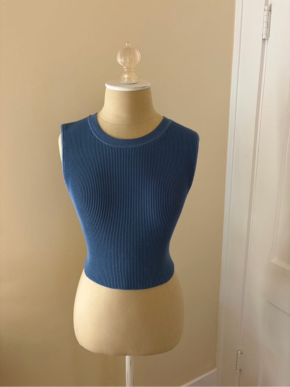 Aritzia Fitted Ribbed Sleeveless Tank in Denim Blue